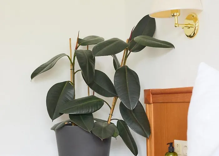 Aparthotel Ferien Seminar Retreat - Zugspitze Leutasch