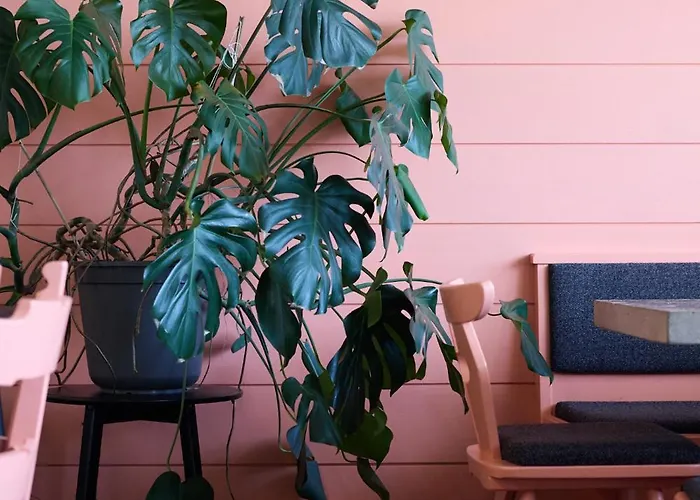 Aparthotel Ferien Seminar Retreat - Zugspitze Leutasch