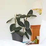 아파트호텔 Marigold - Ferien Seminar Retreat 로이타쉬