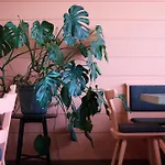 아파트호텔 Marigold - Ferien Seminar Retreat 로이타쉬