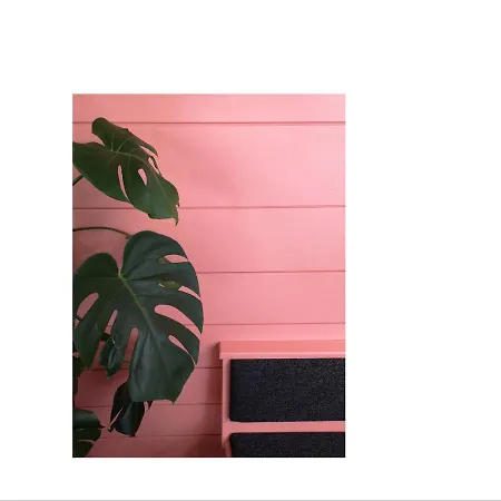 Marigold - Ferien Seminar Retreat Apart-hotel 3*