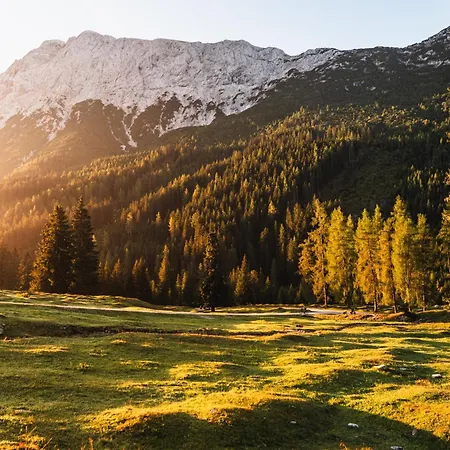 Marigold - Ferien Seminar Retreat