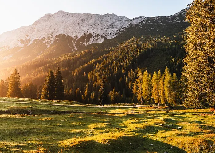 Marigold - Ferien Seminar Retreat