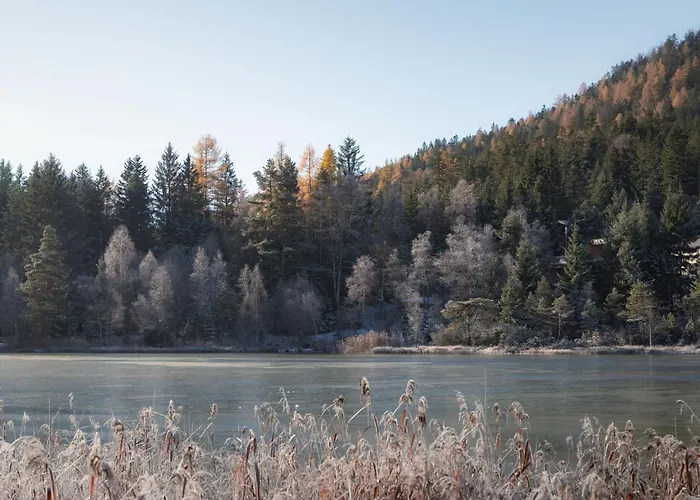 Marigold - Ferien Seminar Retreat Apart-hotel 3*